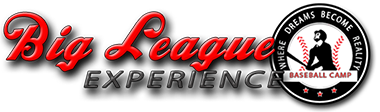 Image result for big league experience