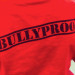 bully bully